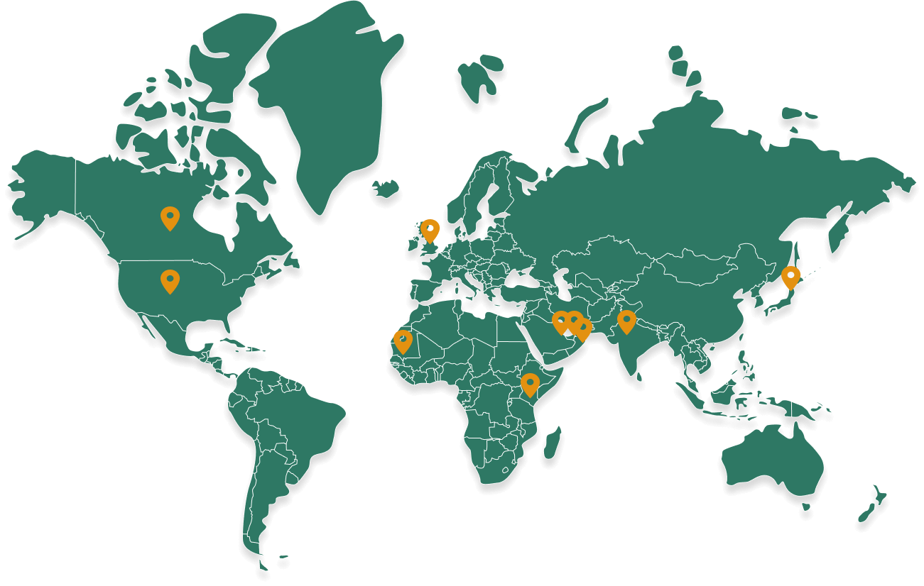 global_export